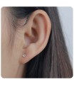 Silver Stud Earrings STS-2774